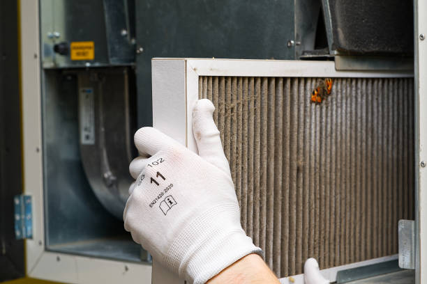 Best Commercial Air Duct Cleaning  in Bon Aqua Junction, TN